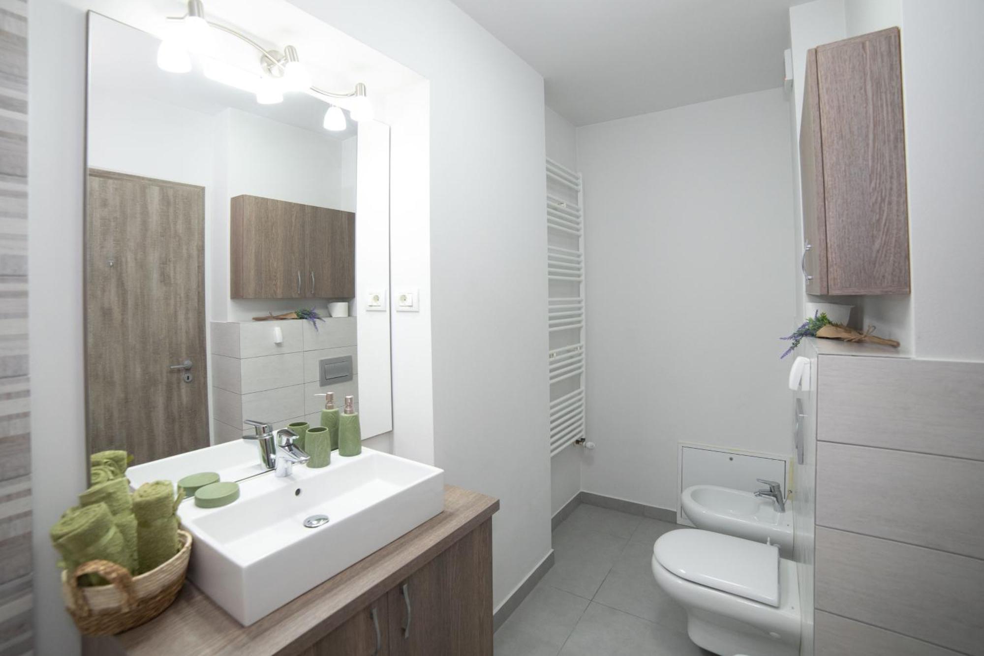 Arad Plaza Viktoria Apartament Экстерьер фото